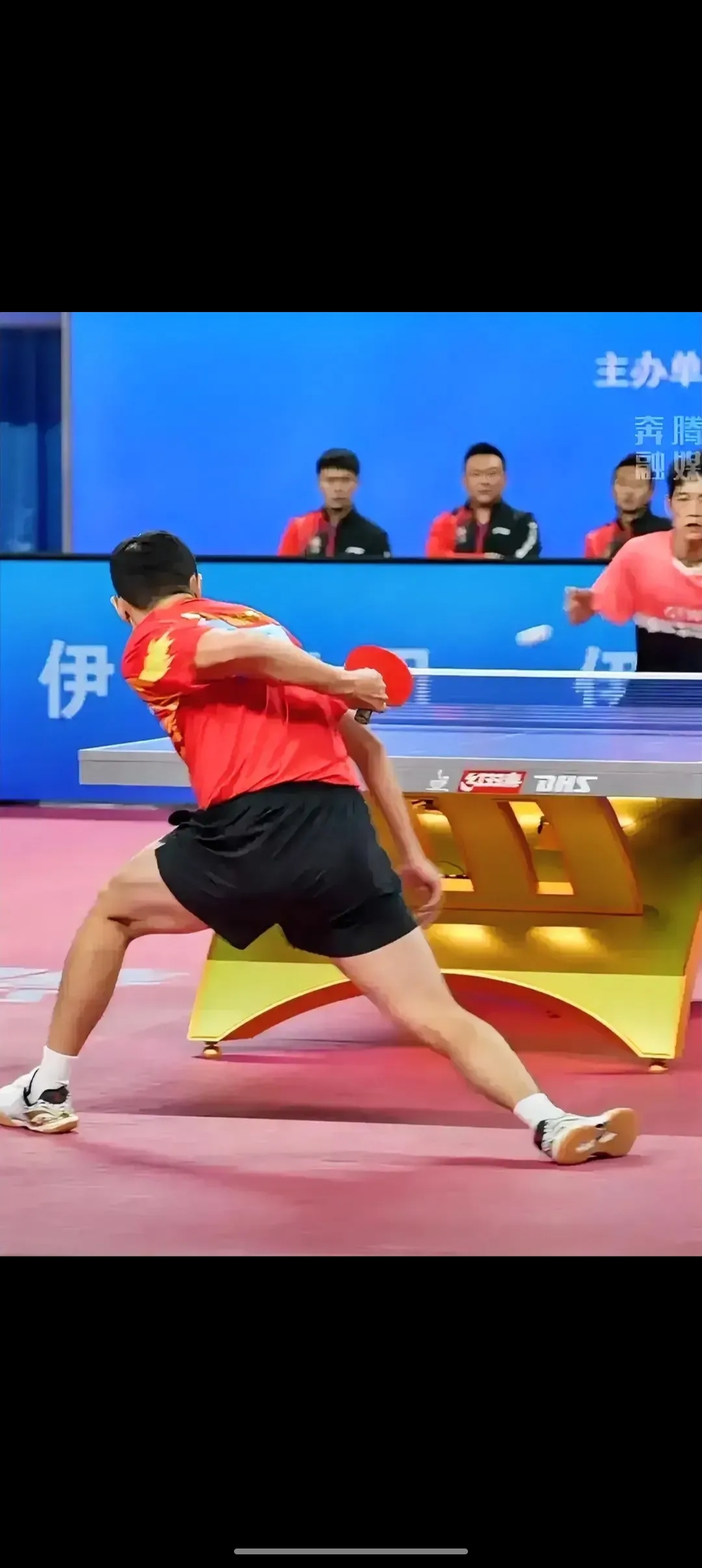 中国队绝杀韩国队，许昕高光表现