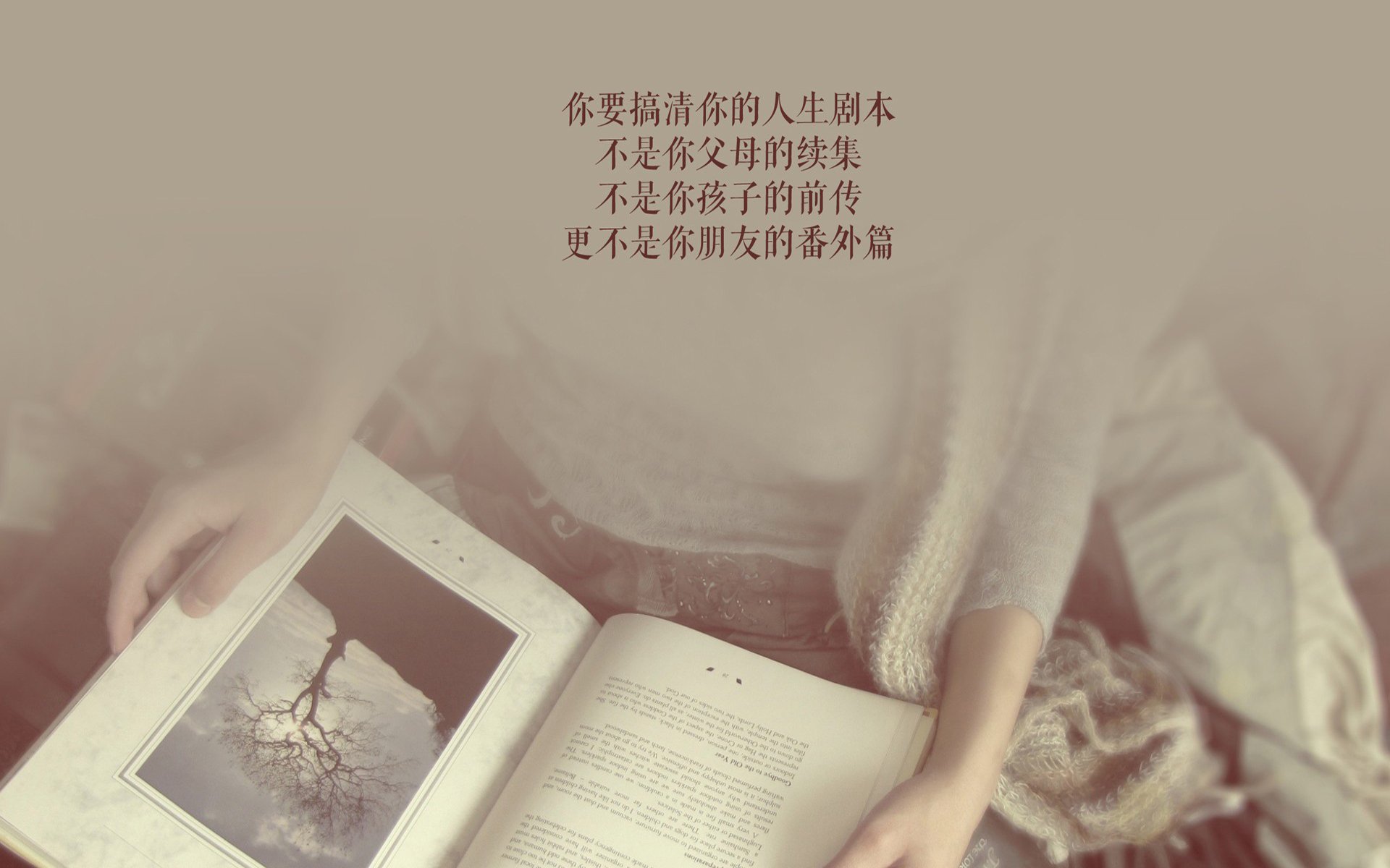 迪马利亚爆发点燃蓝白风暴，阿森纳式闪电战一波带走比利时