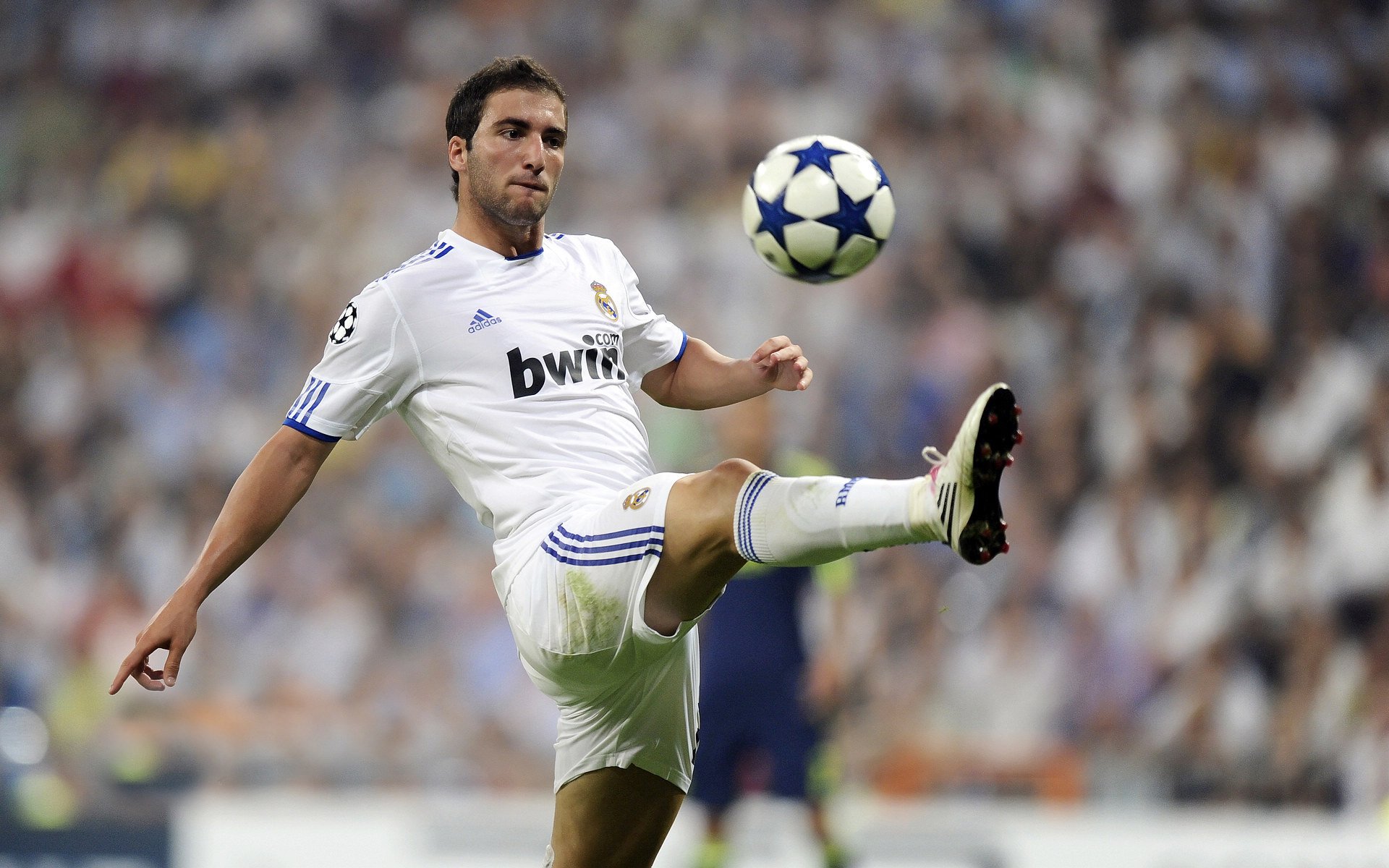 绿茵双城记，孙兴慜的亚洲风暴与阿根廷的南美烈焰